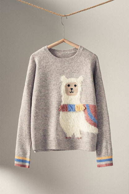 Urban Daizy Whimsical Alpaca Embroidered Knit Sweater