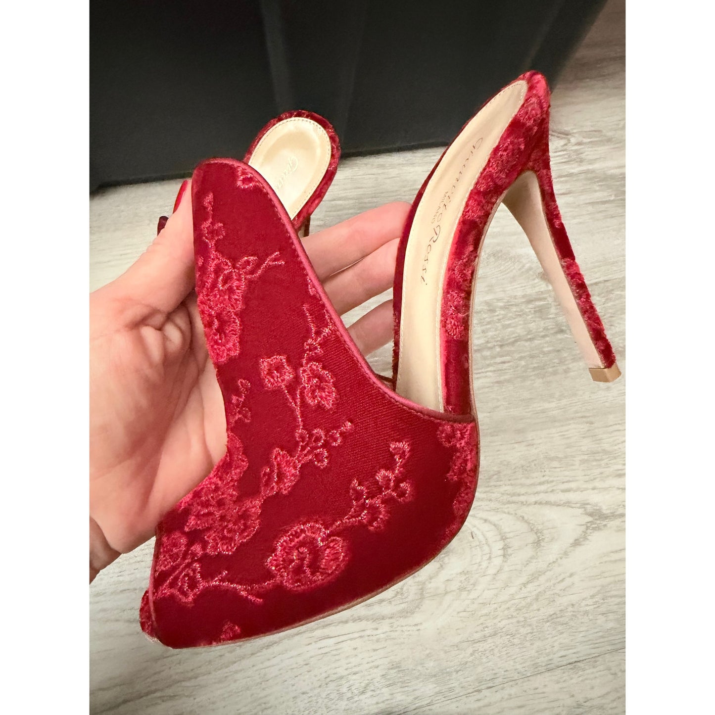 Gianvito Rossi Shanghai Embroidered Velvet Mules