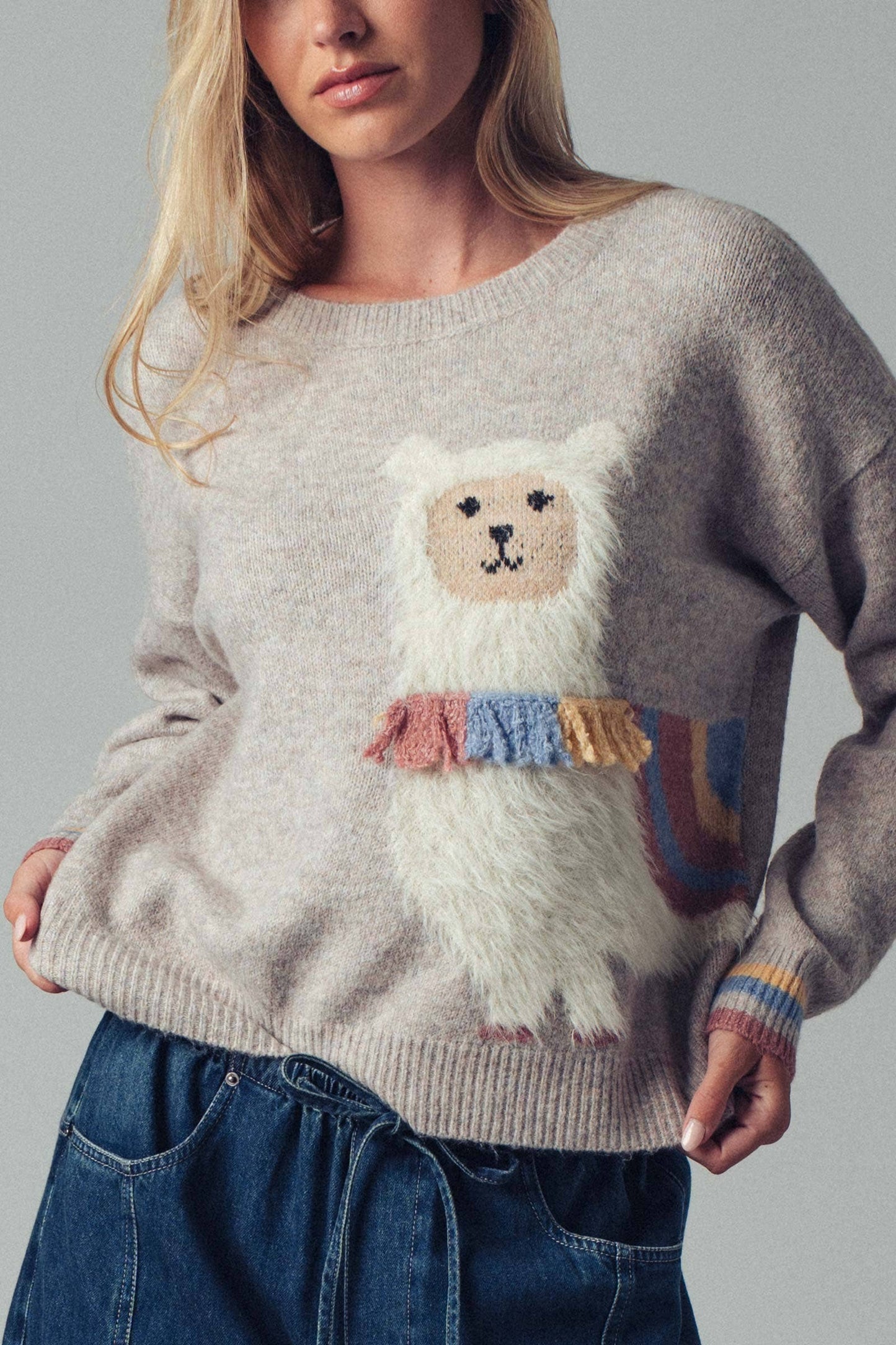 Urban Daizy Whimsical Alpaca Embroidered Knit Sweater