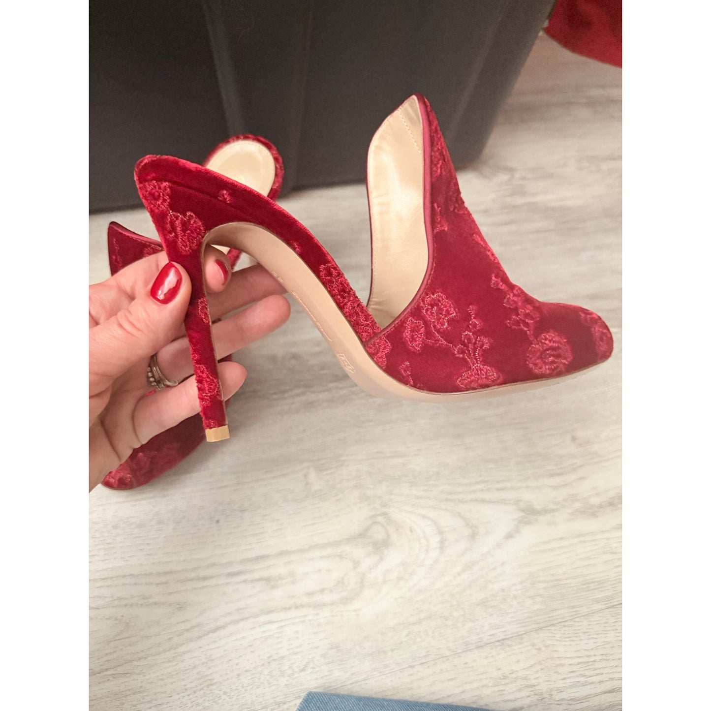 Gianvito Rossi Shanghai Embroidered Velvet Mules