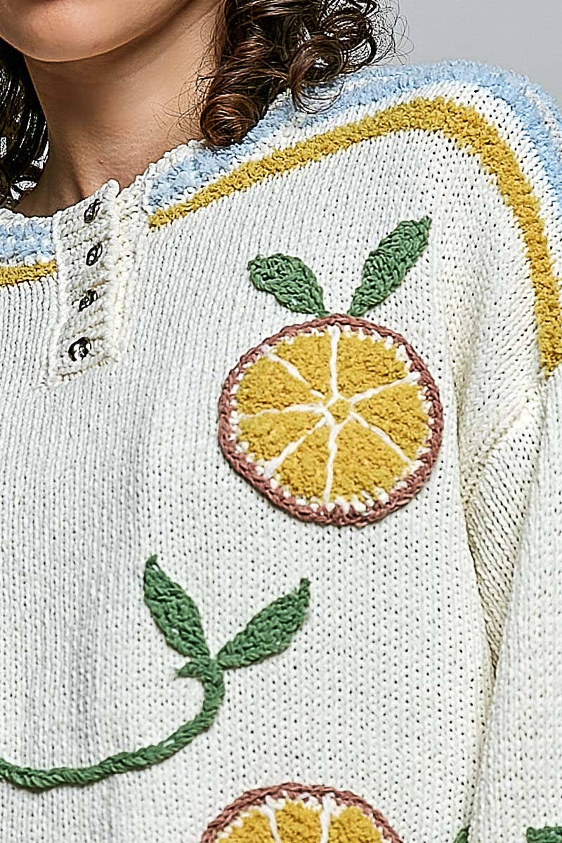 Pol Clothing 3D Embroidery Long Sleeve Cozy Pullover Berber Sweater