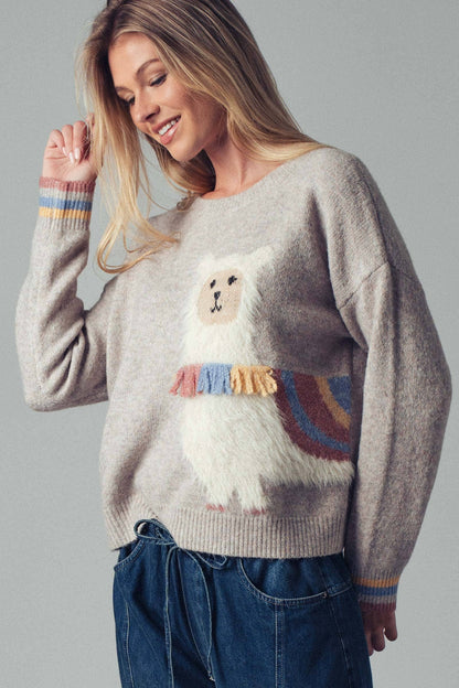 Urban Daizy Whimsical Alpaca Embroidered Knit Sweater