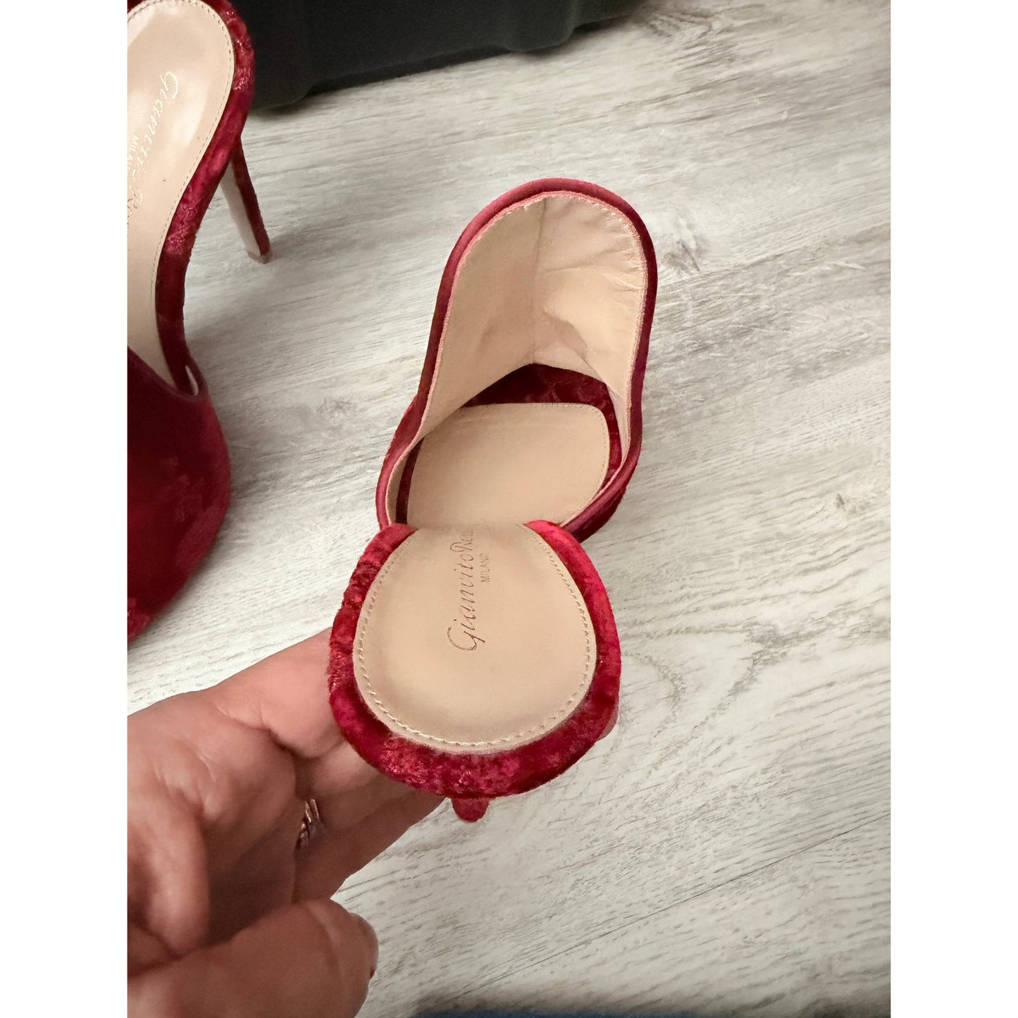 Gianvito Rossi Shanghai Embroidered Velvet Mules