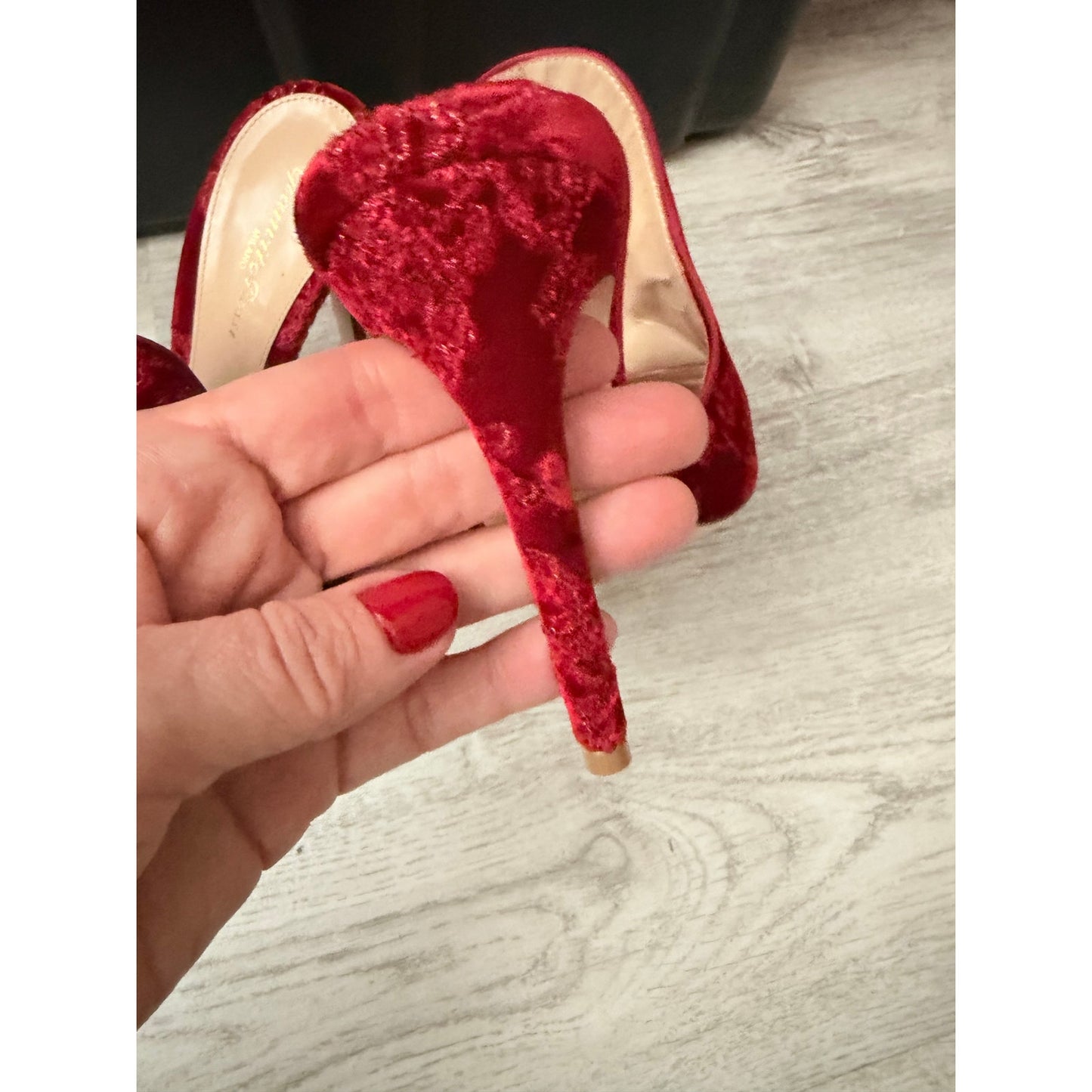 Gianvito Rossi Shanghai Embroidered Velvet Mules