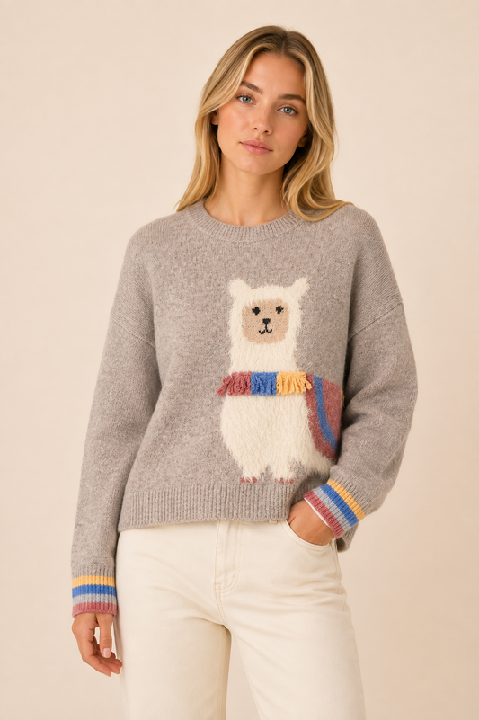 Urban Daizy Whimsical Alpaca Embroidered Knit Sweater