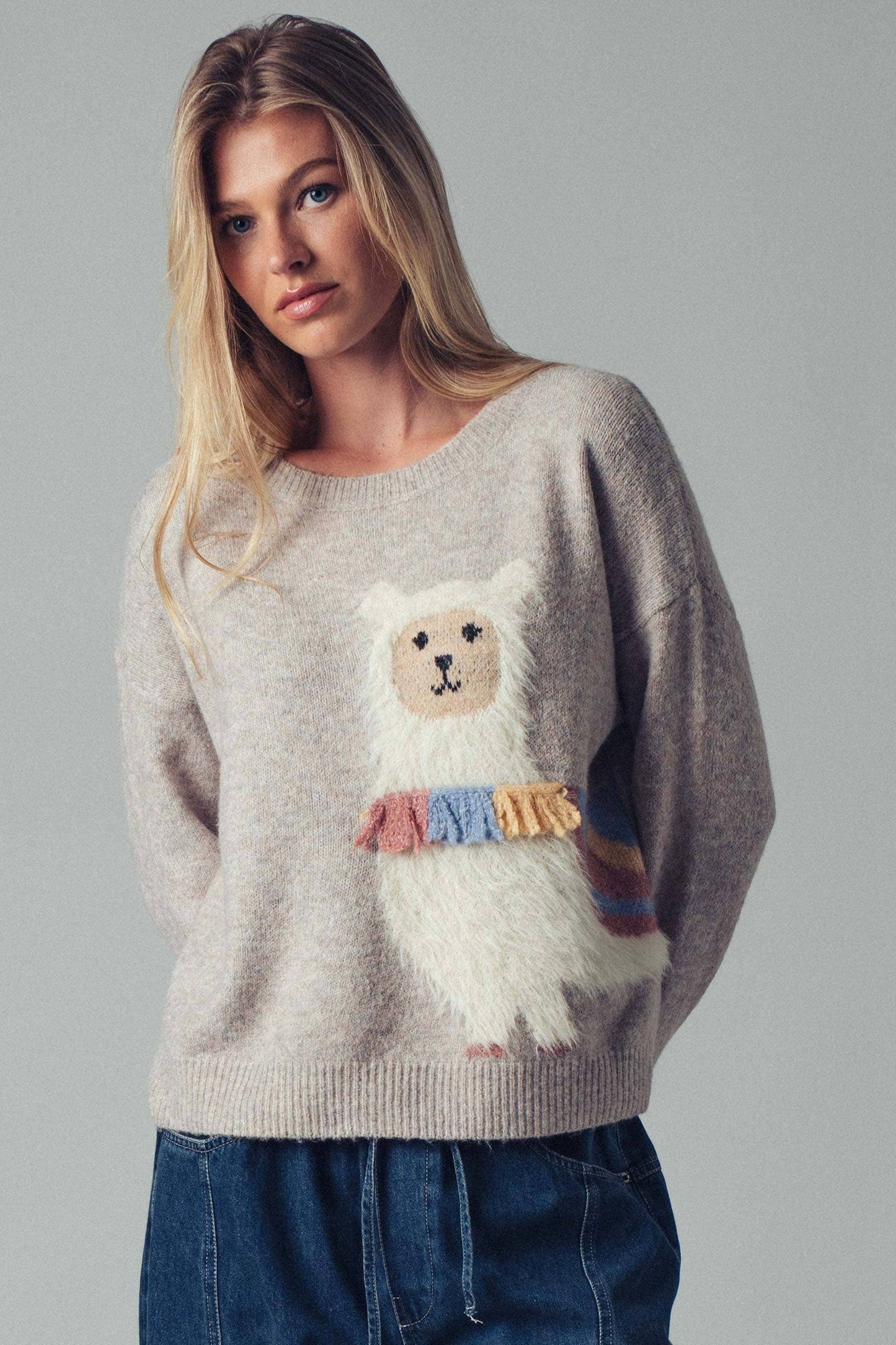 Urban Daizy Whimsical Alpaca Embroidered Knit Sweater