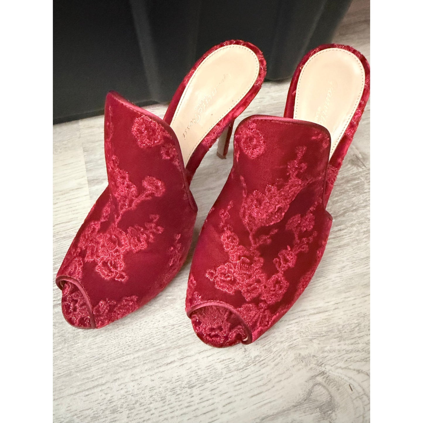Gianvito Rossi Shanghai Embroidered Velvet Mules