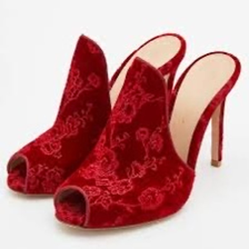 Gianvito Rossi Shanghai Embroidered Velvet Mules